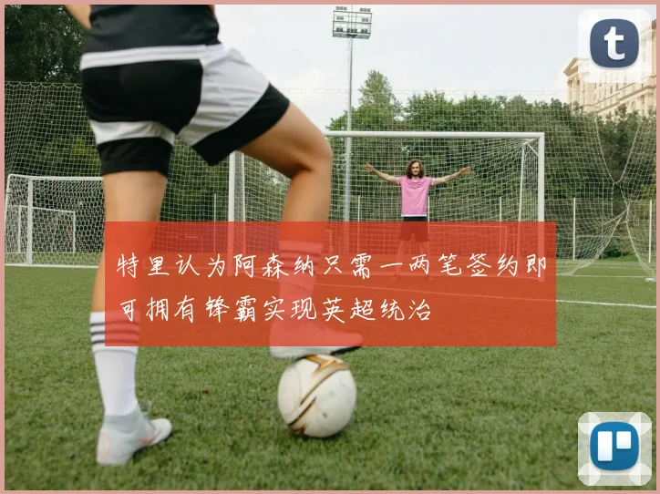 特里认为阿森纳只需一两笔签约即可拥有锋霸实现英超统治